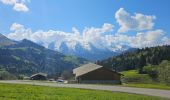 Tocht Mountainbike Le Grand-Bornand - découverte du Chinaillon II - Photo 3