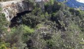 Tocht Stappen Le Revest-les-Eaux - Le Mont Caume-17-03-21 - Photo 11