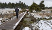 Randonnée Marche Peyre en Aubrac - Aumont Aubrac / Le Py auberge les gentianes  - Photo 7