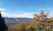 Randonnée Marche Sournia - sournia arbre remarquable - Photo 14