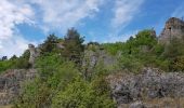 Randonnée Marche nordique Nant - Canoles du Larzac - Photo 5