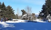 Randonnée Marche Vassieux-en-Vercors - Forêt communale de Dié - Photo 4