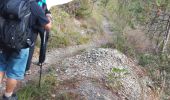 Trail Walking Die - La belle justine - Photo 1