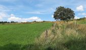 Trail Walking Dinant - FOY GPX BERLAGE - Photo 10