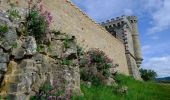 Trail Walking Rennes-le-Château - Rennes le Chateau - Photo 6