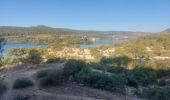 Excursión Bici eléctrica Esparron-de-Verdon - Espérons Ste Croix et retour  - Photo 10