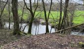 Randonnée Marche Viroinval - Nismes parcours géologique ouest 10,8 km - Photo 3