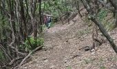 Randonnée Marche Collobrières - Collobriéres. Sommet de l'Argentière  - Photo 4