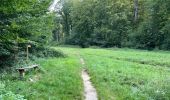 Trail Walking Vivières - en Forêt de Retz_88_autour du Regard Saint-Hubert et du Rond de la Reine - Photo 20