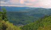 Excursión A pie okres Banská Štiavnica - Náučný chodník Milana Kapustu po žile Terézia - Photo 9