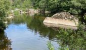 Tour Wandern Chauchailles - Gorges du Bèz sentier des espagnols - Photo 2