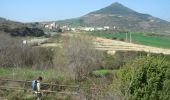 Trail Walking Estella-Lizarra - Camino Francés - Etp6 - Estella - Los Arcos - Photo 3