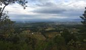 Tocht Lopen Velleron - Canal-Carpentras-filles-02112019 - Photo 7