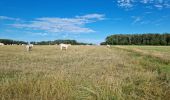 Trail Walking Villedômer - Villedômer - Photo 14