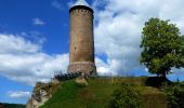 Tour Zu Fuß Nohfelden - Bärenpfad - Photo 8