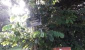 Tour Wandern Le Lamentin - École Gondeau Beauséjour en boucle  - Photo 19