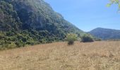 Trail Walking Cize - Cize  - Photo 15