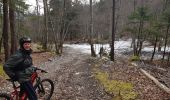 Tocht Mountainbike Seyssins - Seyssins - Les Pucelles - Photo 2