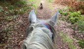 Tour Reiten Sankt Quirin - Camping st quirin belles roches abri Klein haut du bon Dieu halmoze lamperstein  - Photo 2