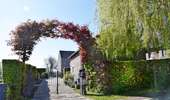 Tour Wandern Welkenrath - suuntoapp-Walking-2026-04-25T08-06-02Z - Photo 14