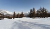 Randonnée Raquettes à neige Puy-Saint-Vincent - la tête d'Oréac - Photo 9