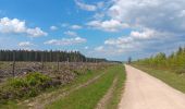 Randonnée Marche Waimes - baraque michel - botrange via fagne de polleur, retour via fagne wallonne  - Photo 10