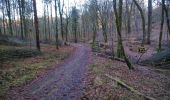 Tocht Mountainbike Virton - Bois de Virton II  -  Balade_VTT_19kms - Photo 11