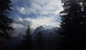 Randonnée Marche Tréminis - Treminis :  Montagne de Paille, col de la Croix. - Photo 16