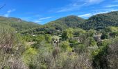 Trail Walking Darnius - Barrage Boadella jusque St Lorenct.  - Photo 16