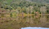 Trail Walking Fréjus - Piste Auriasque - Lac de l'Avellan - Les Adrechons - Photo 5