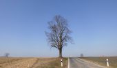 Trail On foot Birstein - Waschweiher Weg - Photo 1