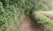 Randonnée Marche Mettet - ERMETON -sur- BIERT ...  parcours campagnard vers Maredret. - Photo 2