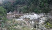 Percorso Marcia Roquebrune-sur-Argens - sentier au fil de l'eau  - Photo 2