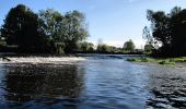 Randonnée A pied The Municipal District of Kilkenny City - Nore Valley Walk - Photo 10