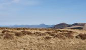 Excursión Senderismo Saulzet-le-Froid - La banne d'Ordanche - Photo 12