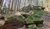 Trail Walking Lutzelbourg - Sentier des roches de Lutzelbourg - Photo 13