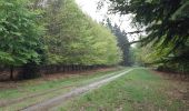 Percorso Marcia Spa - spa . bronrome . thier des rexhons . spa  - Photo 7