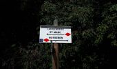Percorso Marcia Vœgtlinshoffen - abbaye Marbach boucle par col Hasstatt - Photo 1