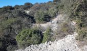 Excursión Marcha nórdica Saint-Guilhem-le-Désert - St Guilhem Via Tolosana Max Nègre 21 janv 2023 - Photo 18