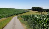 Trail Walking Vianden - Randonnée au  Natuurpark à partir de Vianden - Photo 8