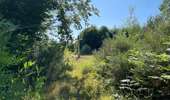 Randonnée Marche Rethondes - en Forêt de Laigue, 04_07_2025_sur les Routes du Grand Octogone, du Plessis-Brion, de Sainte-Croix, du Petit Octogone et de la Belle Assise - Photo 17