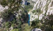 Trail Walking Brissac - saint Étienne issenssac ravin des arcs - Photo 8