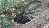 Trail Walking Viroinval - Boucle Olloy - Vierves par la rive droite du Viroin - Photo 6