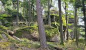 Randonnée Marche Niederhaslach - Niederhaslach - châteaux Ringelstein - Rochers du Pfaffenlapp et du Breitberg - Photo 10