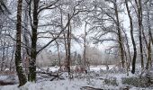 Trail Walking Spa - fagne de malchamp sous les premières neiges de 2025 - Photo 18