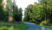 Tour Wandern Pierrefonds - en forêt de Compiègne_30_la Tournante sous le Mont Saint-Mard - Photo 17