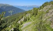 Tocht Stappen Peisey-Nancroix - Peisey Vallandry Les Rossets Col d'Entreporte  - Photo 6