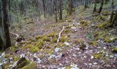 Tocht Stappen Besançon - forêt CHAILLUZ MARCHAUX - Photo 3