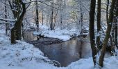 Randonnée Marche Tenneville - Laneuville aux bois 180124 - Photo 19