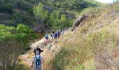 Trail Walking Roquebrune-sur-Argens - Pic Bourete - Photo 10